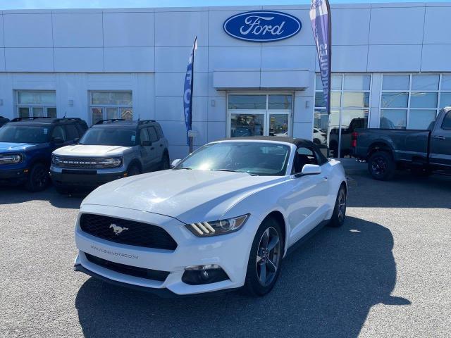 2015 Ford Mustang V6 (Stk: 4989A) in Matane - Image 1 of 16