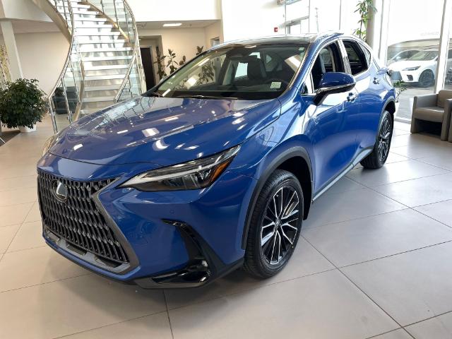 2024 Lexus NX 350