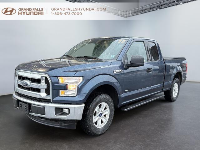 2017 Ford F-150 XLT (Stk: 240684NA) in Grand Falls - Image 1 of 18