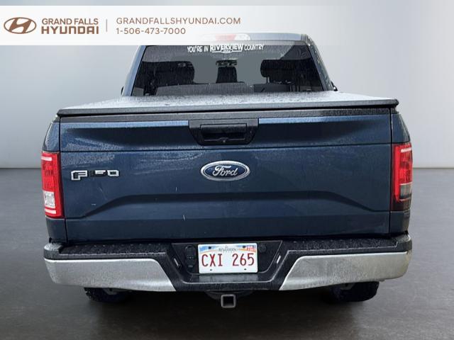 2017 Ford F-150 XLT (Stk: 240684NA) in Grand Falls - Image 3 of 18