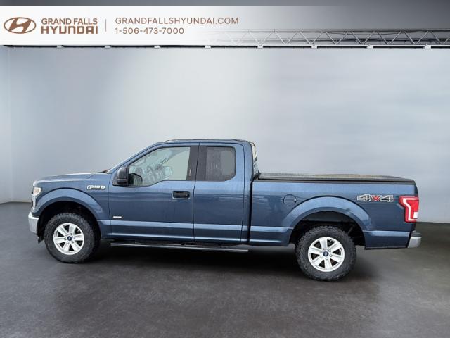 2017 Ford F-150 XLT (Stk: 240684NA) in Grand Falls - Image 5 of 18