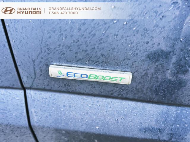 2017 Ford F-150 XLT (Stk: 240684NA) in Grand Falls - Image 6 of 18