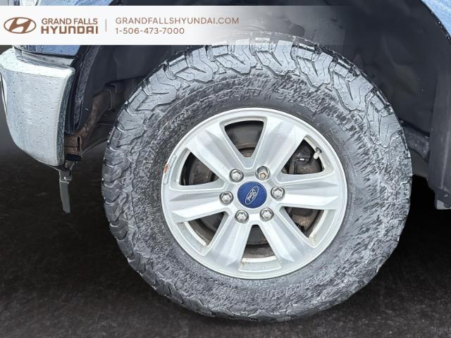 2017 Ford F-150 XLT (Stk: 240684NA) in Grand Falls - Image 7 of 18