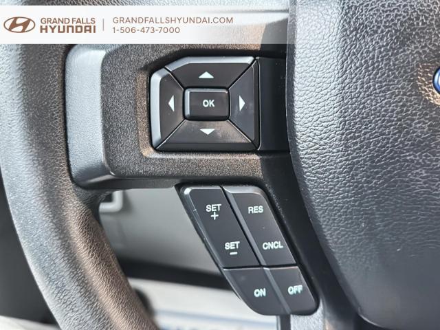 2017 Ford F-150 XLT (Stk: 240684NA) in Grand Falls - Image 13 of 18