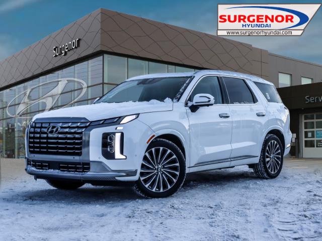 Hyundai Palisade 2024 Ultimate Calligraphy - 384 $ B/W à vendre à ...