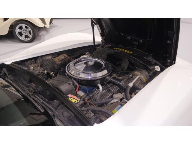 1982 Chevrolet Corvette  (Stk: 100084) in Watford - Image 23 of 39