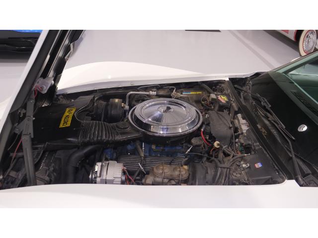 1982 Chevrolet Corvette  (Stk: 100084) in Watford - Image 25 of 39