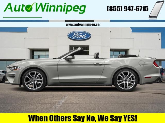 2022 Ford Mustang EcoBoost (Stk: 23587B) in Winnipeg - Image 1 of 1