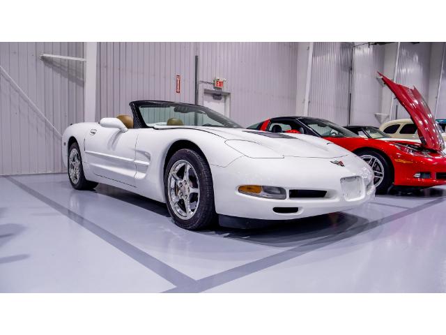 2004 Chevrolet Corvette Base (Stk: 122091) in Watford - Image 8 of 49