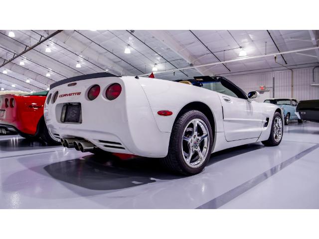 2004 Chevrolet Corvette Base (Stk: 122091) in Watford - Image 6 of 49