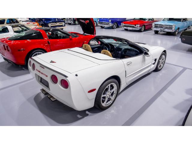2004 Chevrolet Corvette Base (Stk: 122091) in Watford - Image 12 of 49