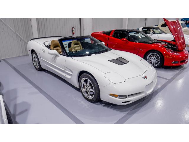 2004 Chevrolet Corvette Base (Stk: 122091) in Watford - Image 13 of 49