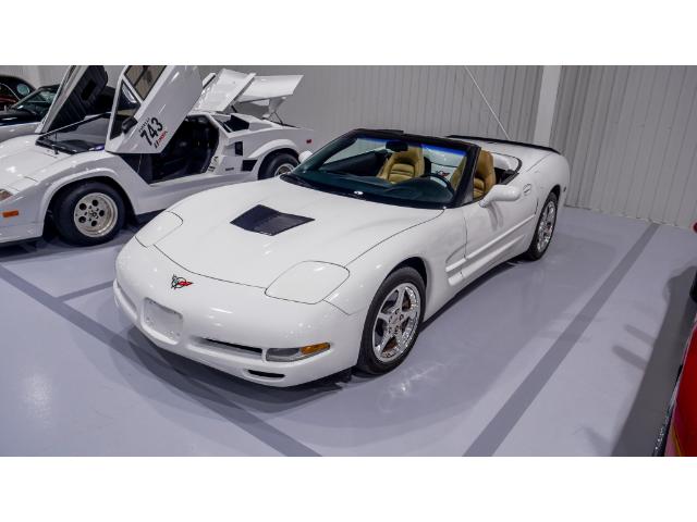 2004 Chevrolet Corvette Base (Stk: 122091) in Watford - Image 10 of 49