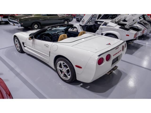 2004 Chevrolet Corvette Base (Stk: 122091) in Watford - Image 11 of 49