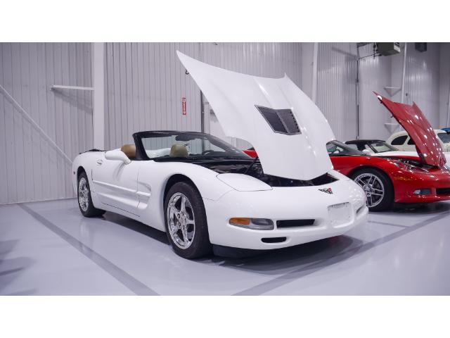 2004 Chevrolet Corvette Base (Stk: 122091) in Watford - Image 40 of 49