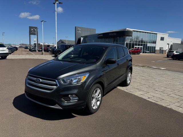 2019 Ford Escape SE (Stk: TL2977) in Dieppe - Image 1 of 25