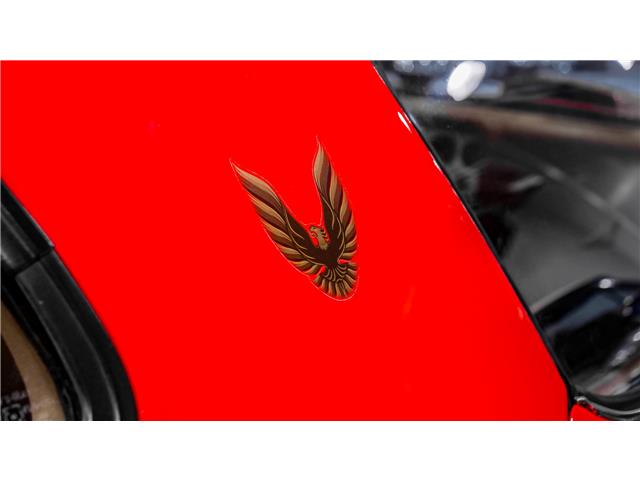 1979 Pontiac Firebird Trans Am (Stk: 161046) in Watford - Image 16 of 47 1979 Pontiac Firebird Trans Am (Stk: 161046) in Watford - Image 16 of 47