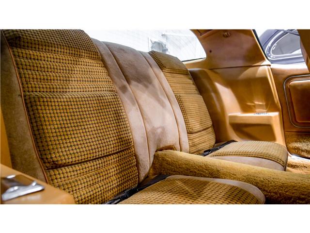 1979 Pontiac Firebird Trans Am (Stk: 161046) in Watford - Image 33 of 47 1979 Pontiac Firebird Trans Am (Stk: 161046) in Watford - Image 33 of 47