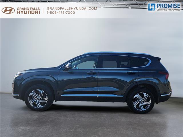 2023 Hyundai Santa Fe Preferred (Stk: 241930NA) in Grand Falls - Image 5 of 16