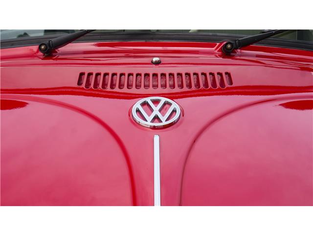 1965 Volkswagen Beetle Convertible (Stk: 053994) in Watford - Image 18 of 50 1965 Volkswagen Beetle Convertible (Stk: 053994) in Watford - Image 18 of 50