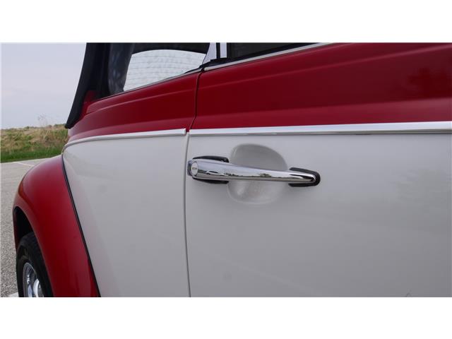 1965 Volkswagen Beetle Convertible (Stk: 053994) in Watford - Image 21 of 50 1965 Volkswagen Beetle Convertible (Stk: 053994) in Watford - Image 21 of 50