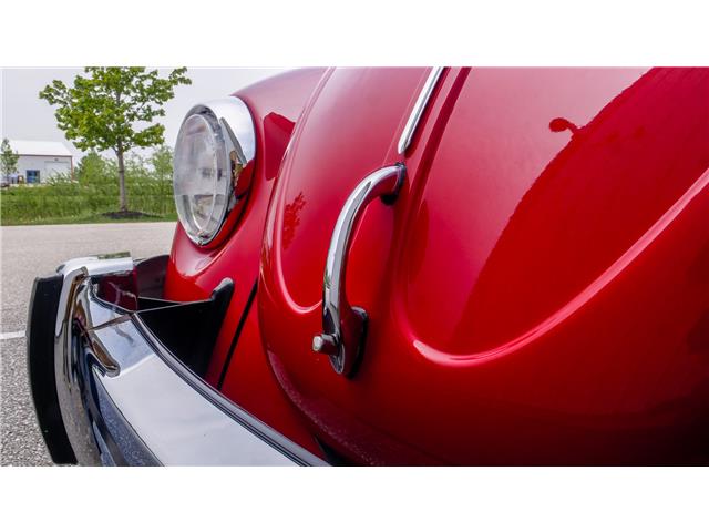 1965 Volkswagen Beetle Convertible (Stk: 053994) in Watford - Image 14 of 50 1965 Volkswagen Beetle Convertible (Stk: 053994) in Watford - Image 14 of 50