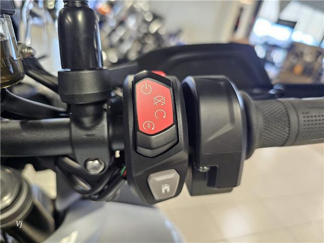 2024 Triumph TIGER1200 GT PRO (Stk: 24TS-031) in Grande Prairie - Image 5 of 9