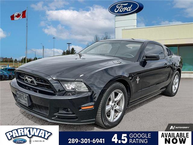 2014 Ford Mustang V6 Premium (Stk: P2104AXXX) in Waterloo - Image 1 of 25