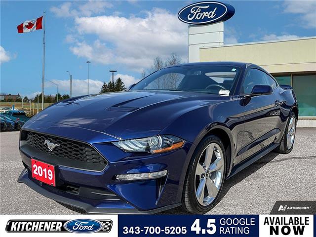 2019 Ford Mustang EcoBoost (Stk: 24M4500A) in Kitchener - Image 1 of 25