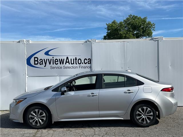 Used Cars, SUVs, Trucks for Sale | Bayview Auto - Belleville