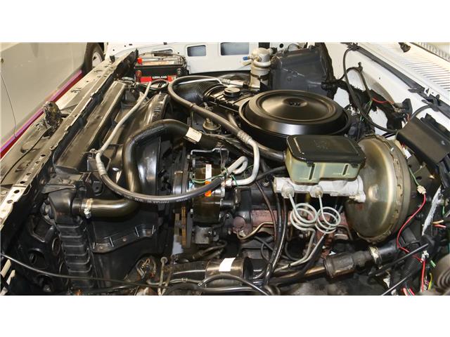 1984 Chevrolet C10 Custom Deluxe Pickup   (Stk: 123076) in Watford - Image 49 of 49