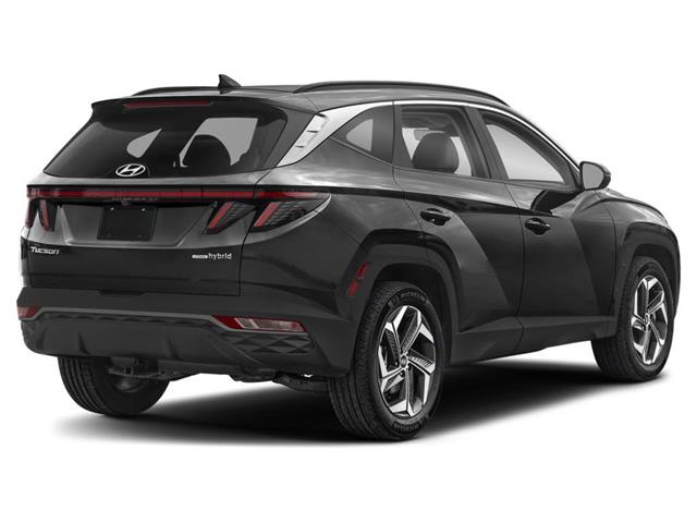 2024 Hyundai Tucson Hybrid Luxury (Stk: 242577N) in Grand Falls - Image 3 of 12