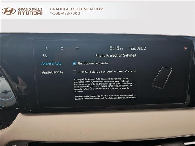 2024 Hyundai Palisade Ultimate Calligraphy w/Beige Interior (Stk: 241813N) in Grand Falls - Image 20 of 20