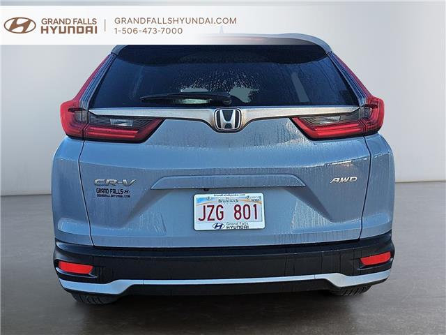 2020 Honda CR-V EX-L (Stk: 243102NA) in Grand Falls - Image 3 of 18