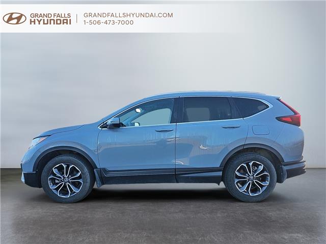 2020 Honda CR-V EX-L (Stk: 243102NA) in Grand Falls - Image 5 of 18