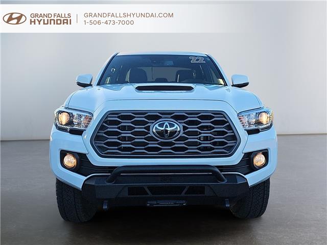 2022 Toyota Tacoma Base (Stk: 243257B) in Grand Falls - Image 2 of 18