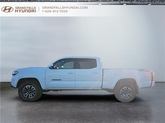 2022 Toyota Tacoma Base (Stk: 243257B) in Grand Falls - Image 5 of 18