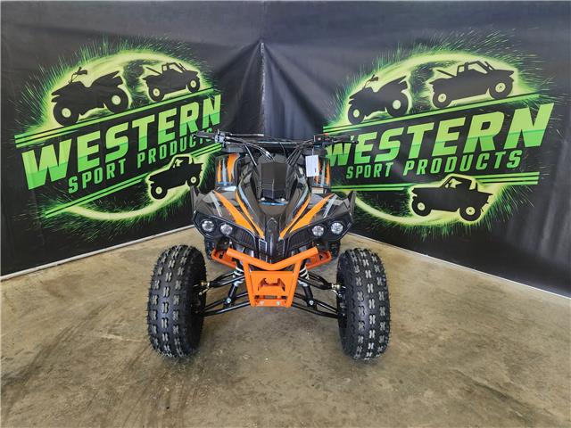2023 Raceron TITAN Cyclone 125 (Stk: 23CY1209) in Vermilion - Image 4 of 7 2023 Raceron TITAN Cyclone 125 (Stk: 23CY1209) in Vermilion - Image 4 of 7