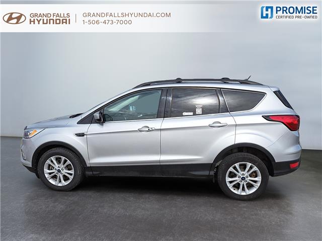 2019 Ford Escape SEL (Stk: 243251B) in Grand Falls - Image 5 of 15
