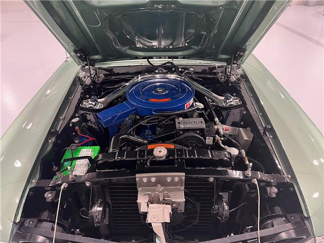 1969 Ford Mustang Mach 1 Tribute (Stk: 123841) in Watford - Image 32 of 50