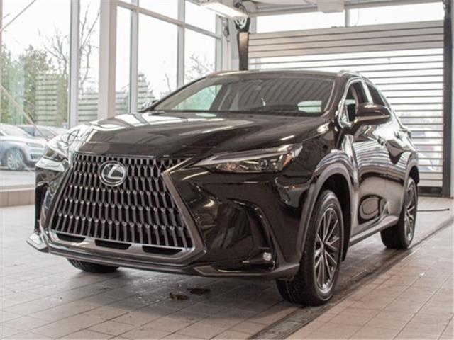 2025 Lexus NX 350 Base (Stk: 6602) in Kingston - Image 1 of 16
