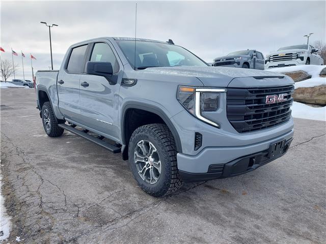 2025 GMC Sierra 1500 Pro (Stk: 25172) in Haliburton - Image 1 of 18