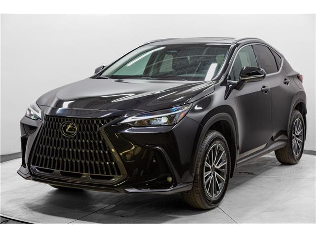2025 Lexus NX 350h