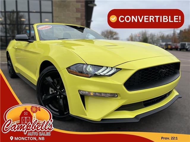 2021 Ford Mustang EcoBoost (Stk: A-117528) in Moncton - Image 1 of 20