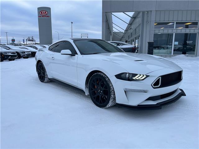 2018 Ford Mustang EcoBoost (Stk: SR25024A) in Cold Lake - Image 1 of 10