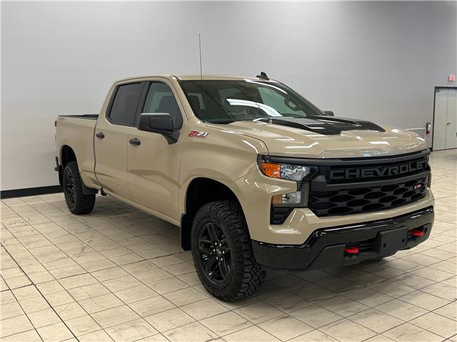 2022 Chevrolet Silverado 1500 Custom Trail Boss (Stk: G644752) in Courtenay - Image 1 of 18