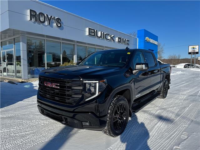 2025 GMC Sierra 1500 Elevation (Stk: 25145) in Green Valley - Image 1 of 14