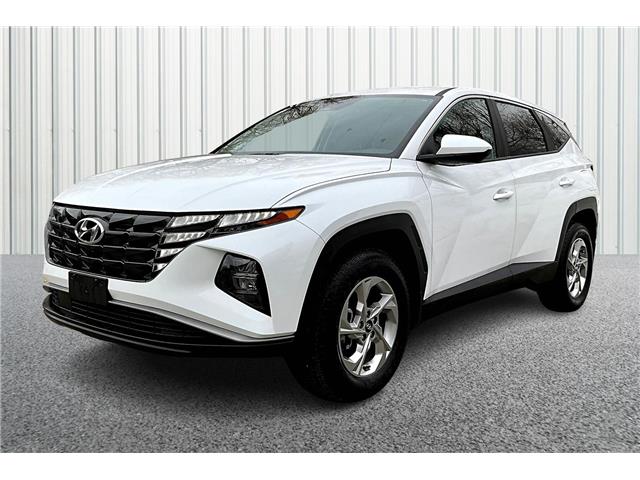 2023 Hyundai Tucson  (Stk: 24P9359A) in Cranbrook - Image 1 of 30