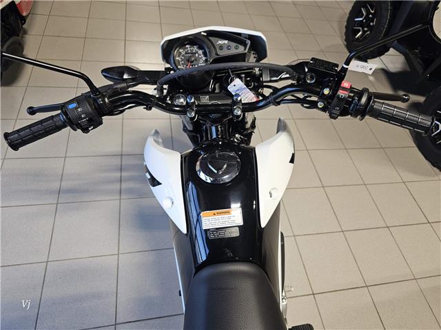 2025 Honda XR150L STANDARD (Stk: 25HD-047) in Grande Prairie - Image 5 of 6