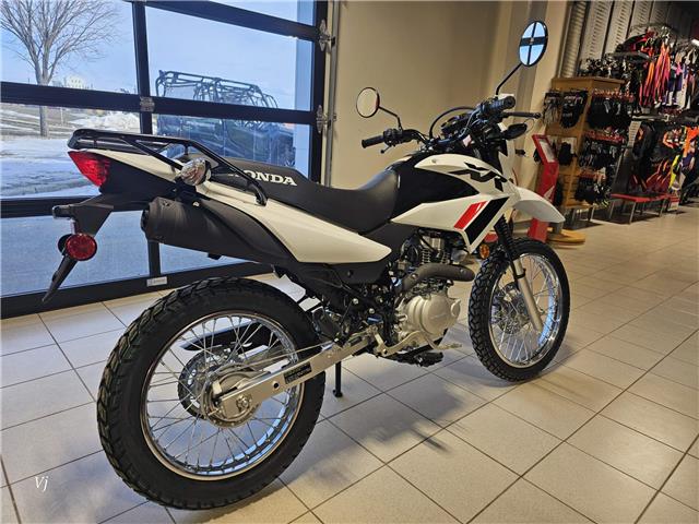 2025 Honda XR150L STANDARD (Stk: 25HD-047) in Grande Prairie - Image 6 of 6